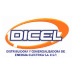 FRG Logo Dicel