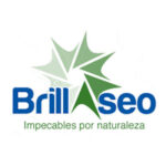 FRG Logo brillaseo 2